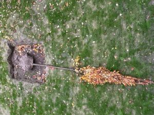 Mehr über den Artikel erfahren Das Runde ist schon im Eckigen… jetzt muss es nur noch aufgerichtet werden