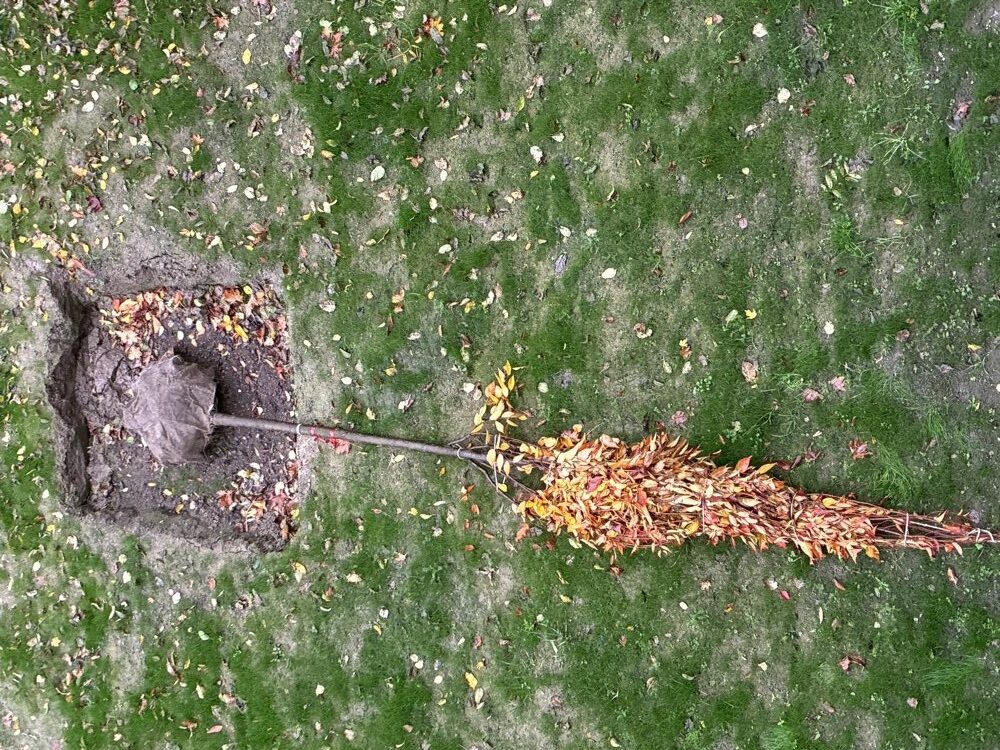 Du betrachtest gerade Das Runde ist schon im Eckigen… jetzt muss es nur noch aufgerichtet werden